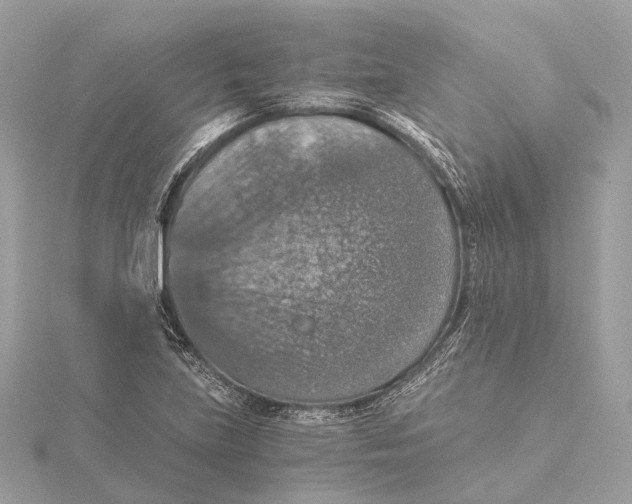 X0000115411219200912011218