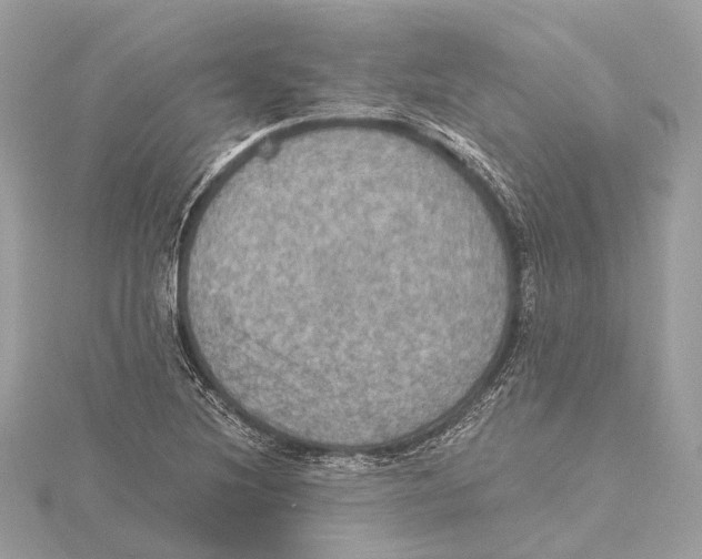 X0000115411220200912011219