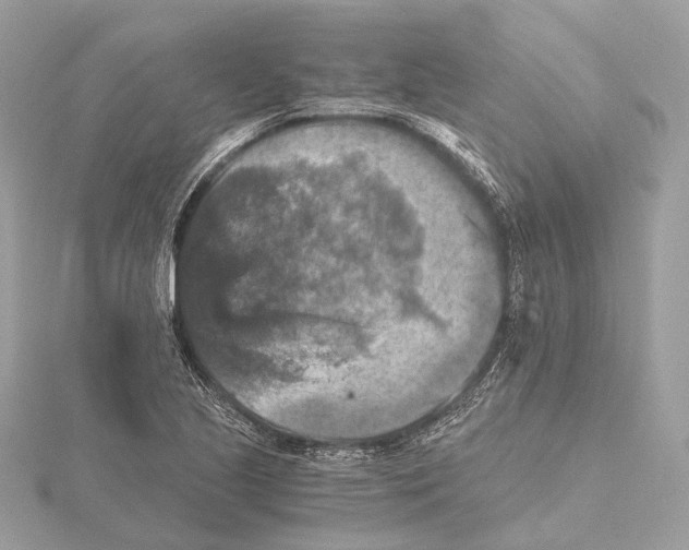 X0000115411221200912011219