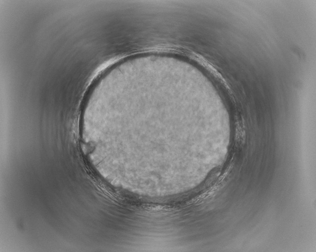 X0000115411222200912011219