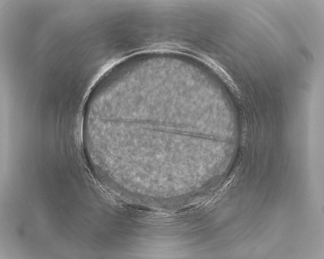 X0000115411224200912011219