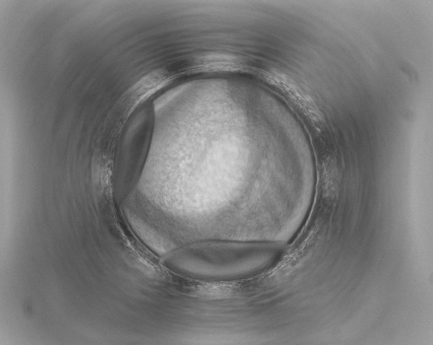 X0000115411225200912011219