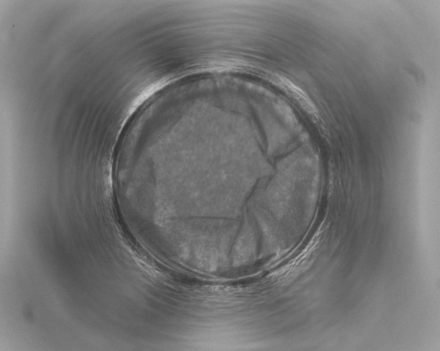 X0000115411226200912011219