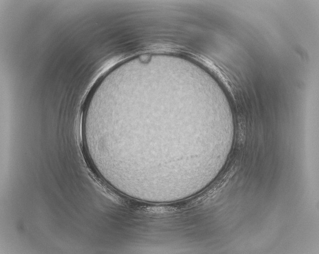 X0000115411227200912011219