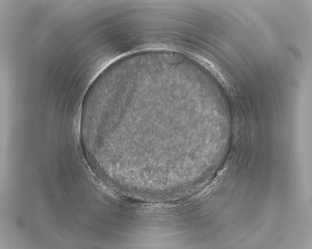 X0000115411228200912011219