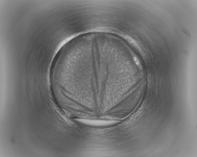 X0000115411230200912011219