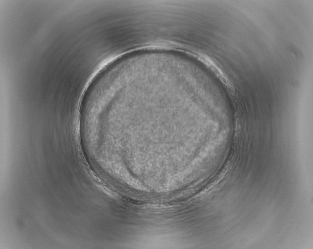 X0000115411232200912011219