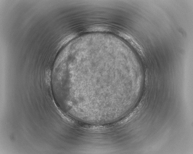 X0000115411233200912011219