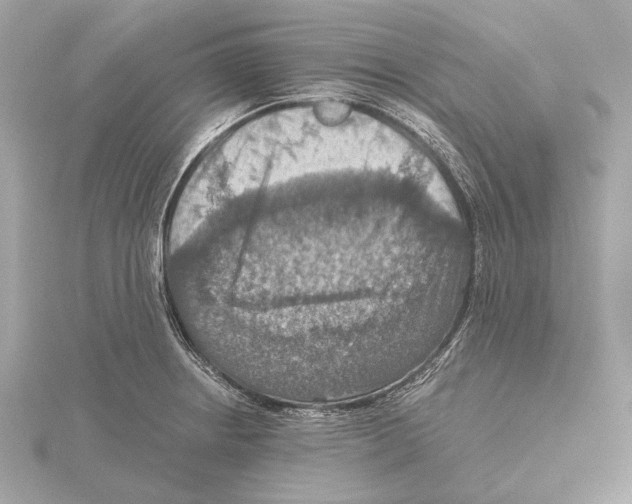 X0000115411234200912011219