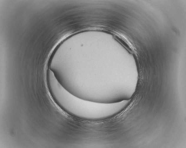 X0000115411235200912011219