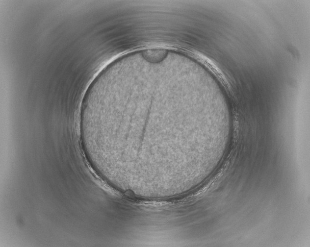 X0000115411236200912011219