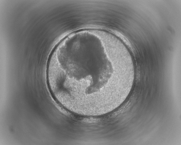 X0000115411237200912011219