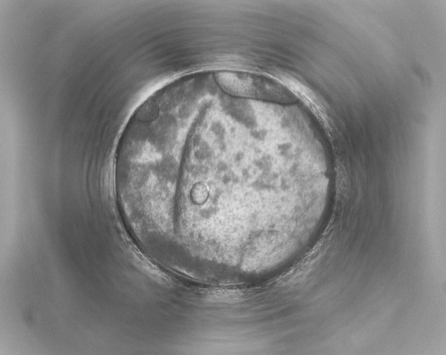 X0000115411238200912011219