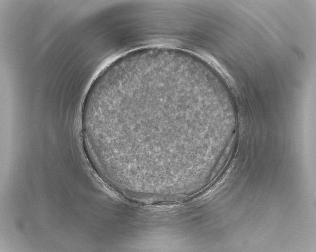 X0000115411240200912011219