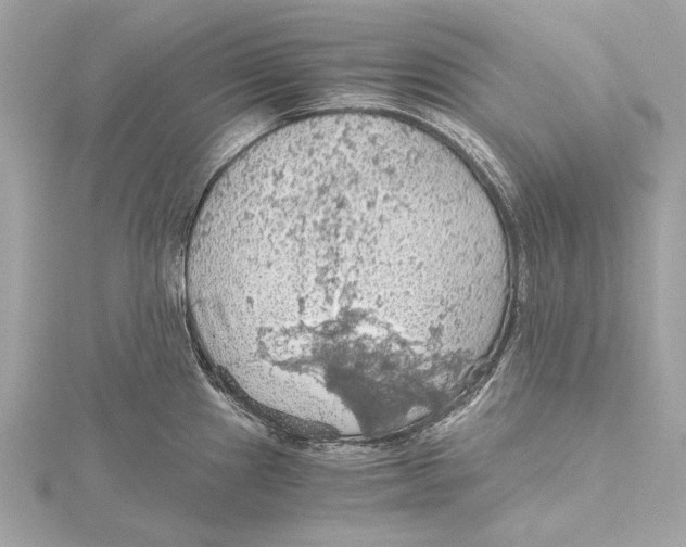 X0000115411241200912011219