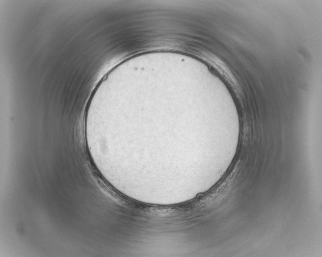 X0000115411242200912011219