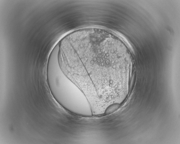 X0000115411244200912011219