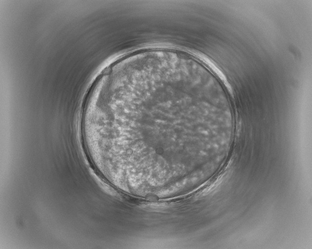 X0000115411245200912011219