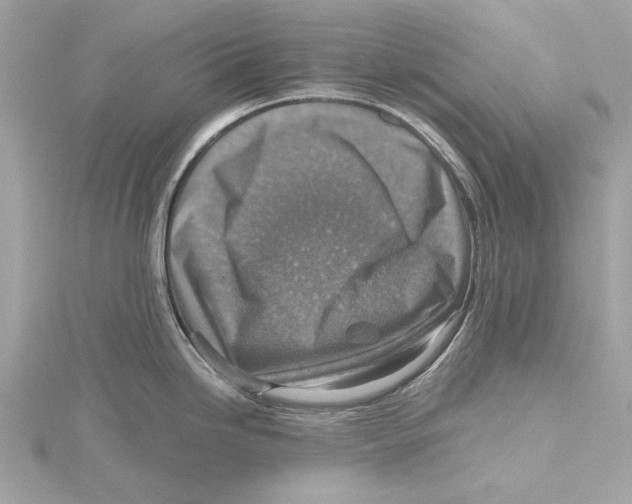 X0000115411246200912011219