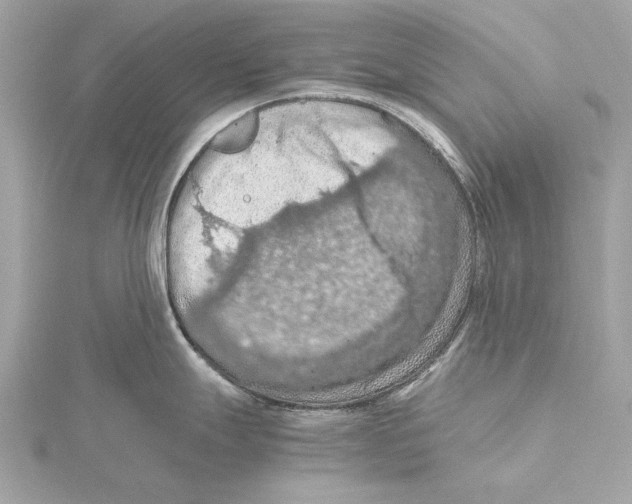 X0000115411247200912011219