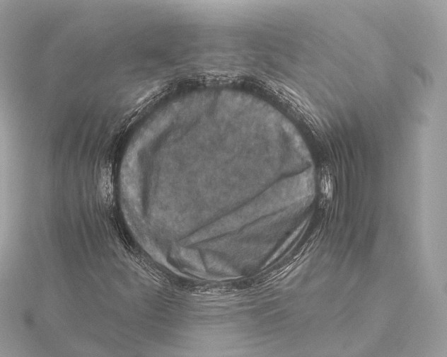 X0000115411252200912011218