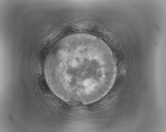 X0000115411253200912011218