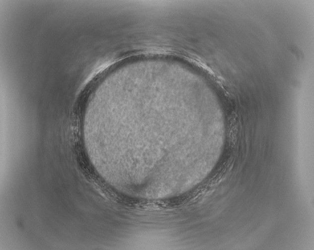 X0000115411255200912011218