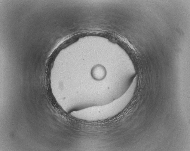 X0000115411256200912011218