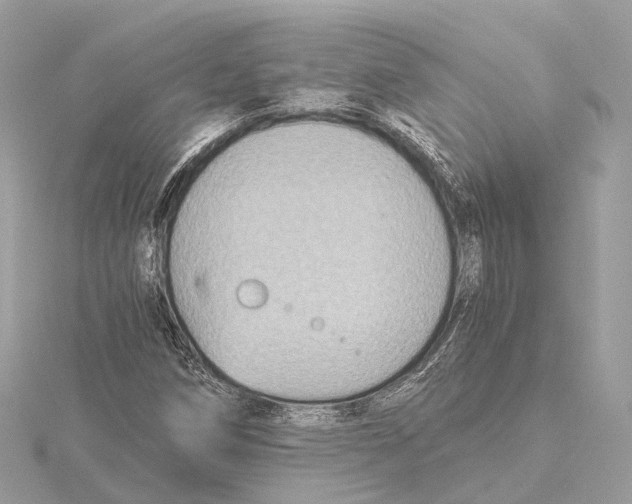 X0000115411258200912011218