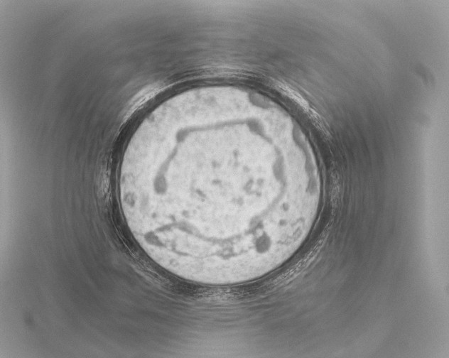 X0000115411259200912011218