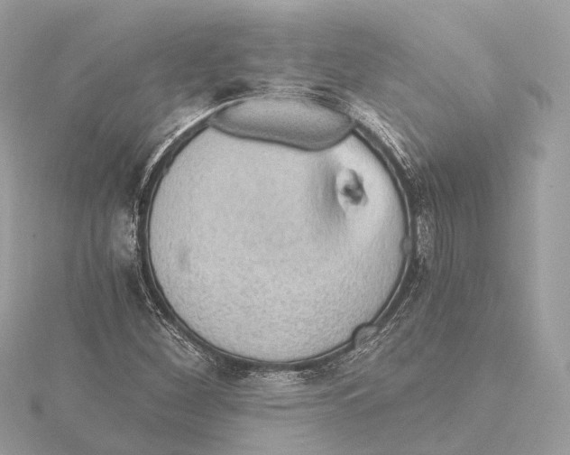 X0000115411260200912011218