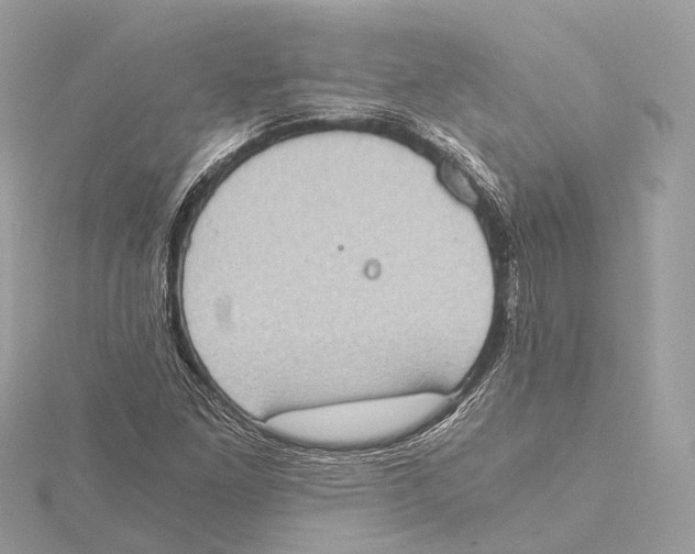 X0000115411261200912011218