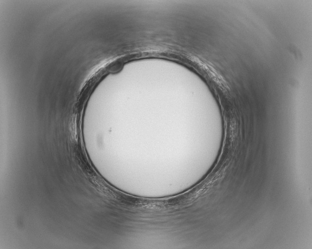 X0000115411262200912011218