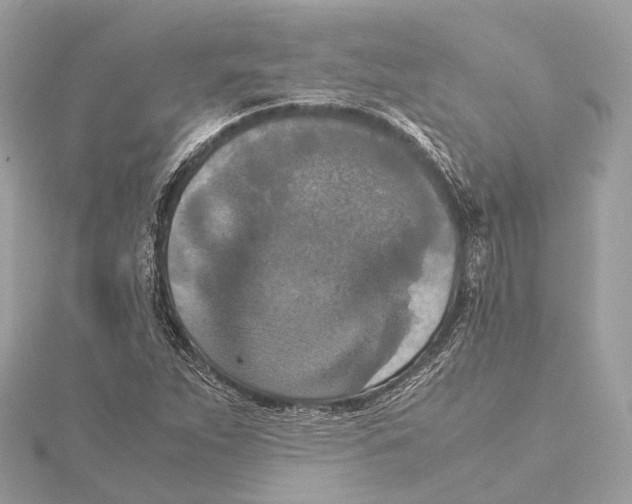 X0000115411263200912011218