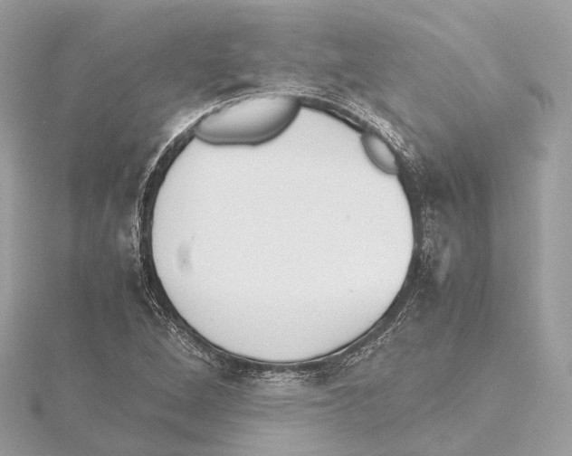 X0000115411264200912011218