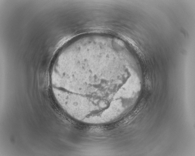 X0000115411267200912011218