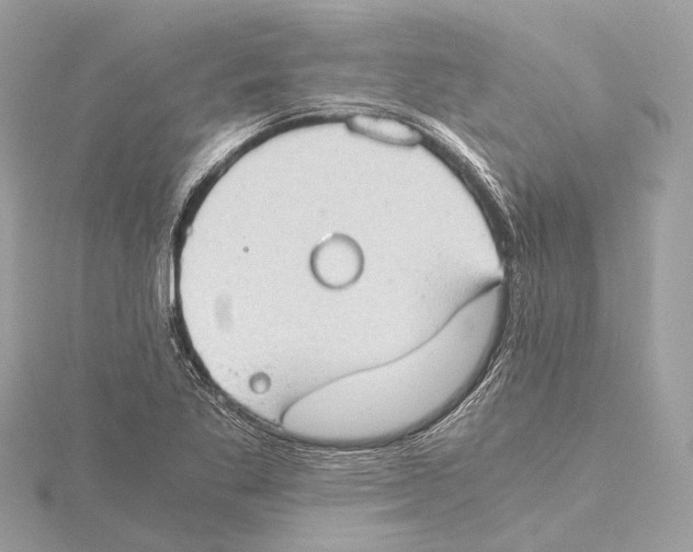 X0000115411269200912011218