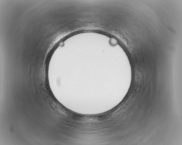 X0000115411270200912011218