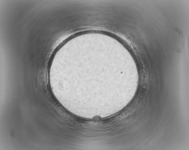 X0000115411271200912011218