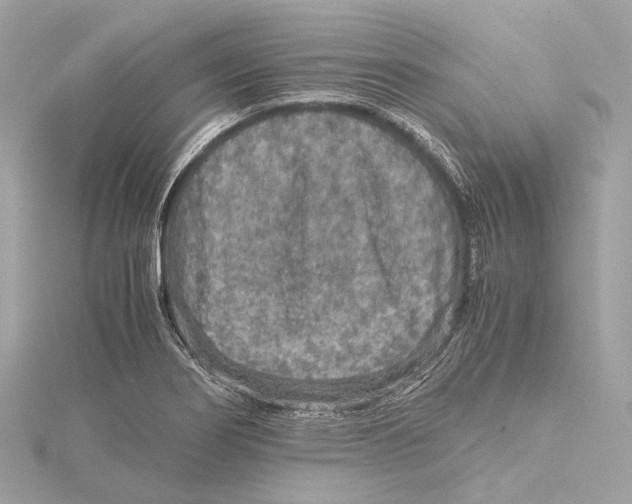 X0000115411274200912011218