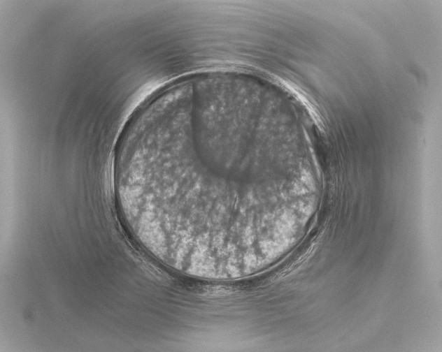 X0000115411275200912011218