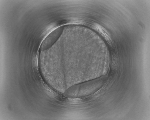 X0000115411276200912011218