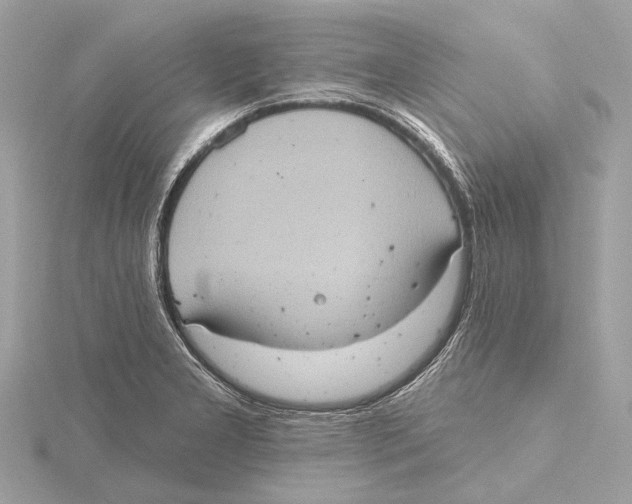 X0000115411277200912011218