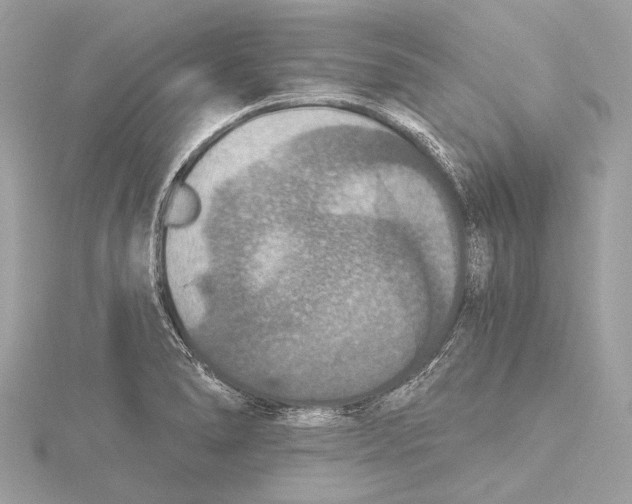 X0000115411278200912011218