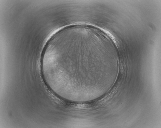 X0000115411279200912011218