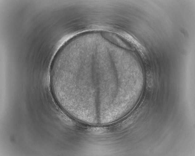 X0000115411280200912011218