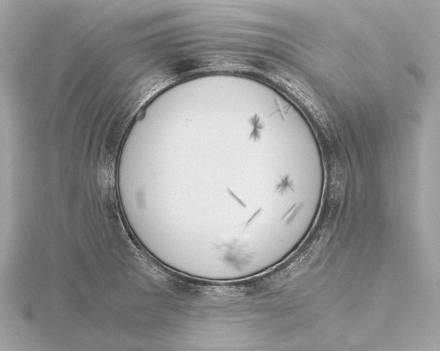 X0000115411281200912011218