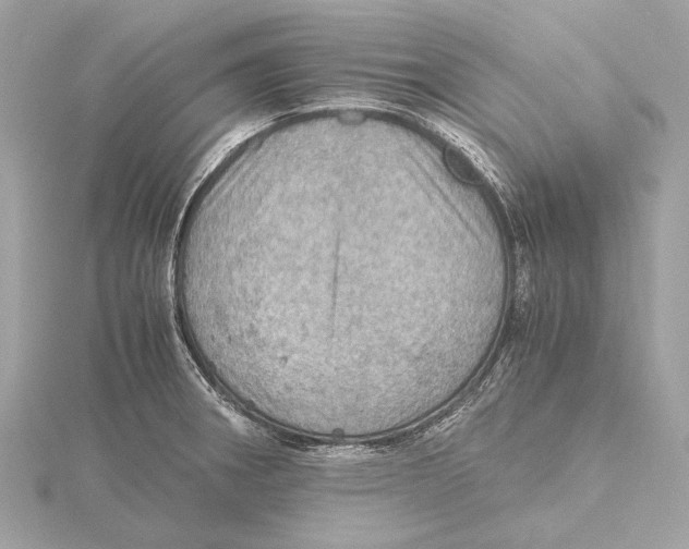 X0000115411282200912011218