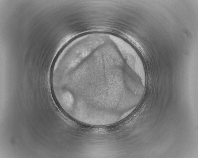 X0000115411283200912011218