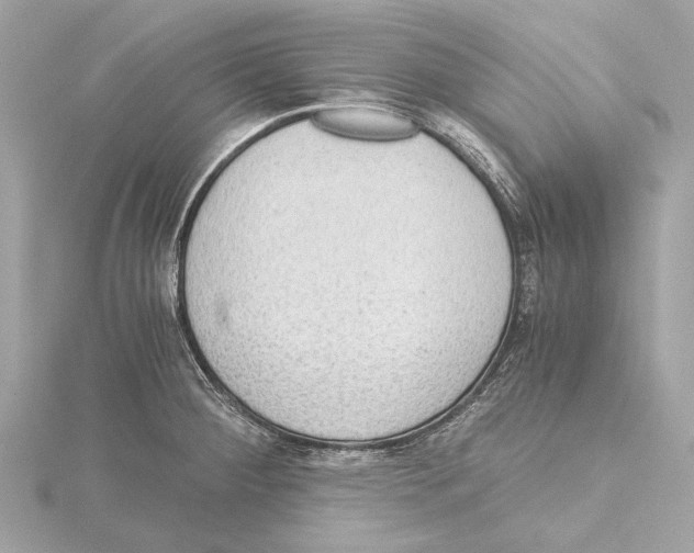 X0000115411284200912011218